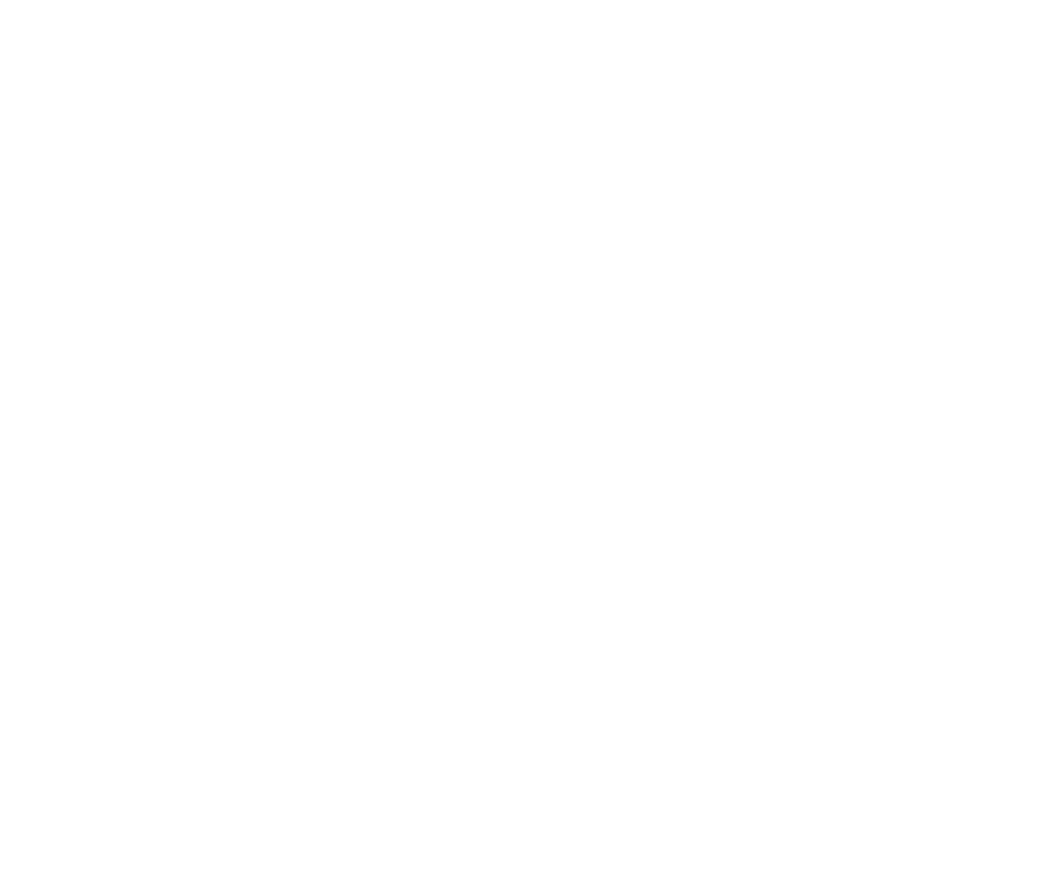 Mister Logo